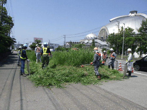 除草作業