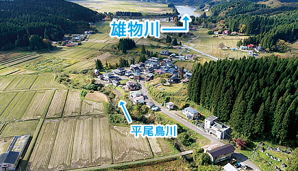 雄物川 平尾鳥川