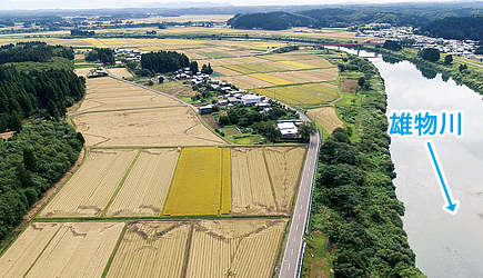 雄物川