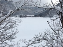 小枝の窓から錦冬湖