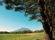 雄大な岩手山と牧草地：雄大な岩手山