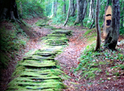 黒沢峠の敷石道