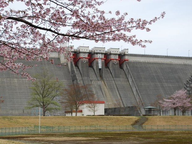 4月24日 桜の季節になりました