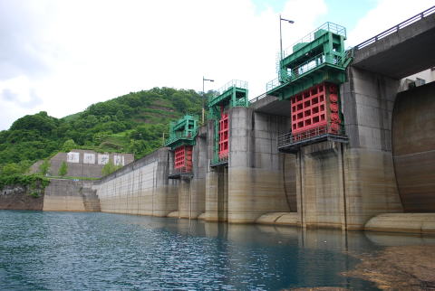 湖面巡視を実施しています