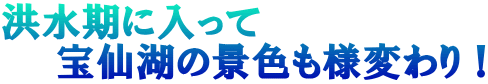 洪水期に入って 　　宝仙湖の景色も様変わり！