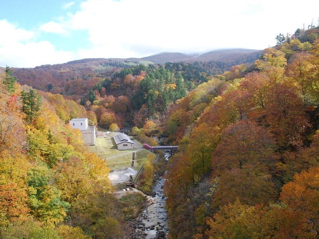 10月25日 中和処理施設の紅葉